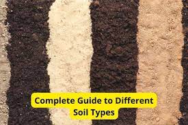complete guide to diffe soil types