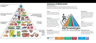 Similarities Between The New And Old Food Pyramid gambar png