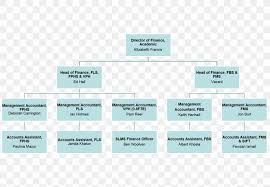 Organizational Chart Diagram Business Png 1382x957px