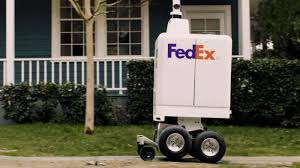 day delivery robot