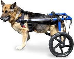 what is the best dog wheelchair