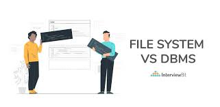 file system vs dbms key difference