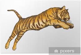 Comment dessiner un tigre blanc ? Tigre Che Salta Poster Pixers We Live To Change
