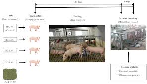 odor emission from manure in growing pigs