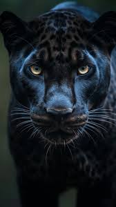 premium ai image a black jaguar is a