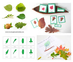 montessori inspired leaf resources