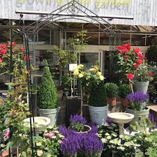 15 of the best garden centres in kent
