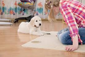 carpet odor richmond va simply clean