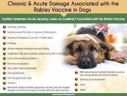 Rabies vaccine can prevent rabies if given to a person after they have had an exposure. Rabies Vaccine Rear End Paralysis In Dogs