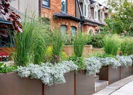 A Toronto Front Yard Gains Style And A