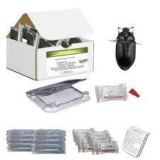 pro pest safe kit black carpet