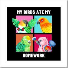 my birds ate my homework funny parrot