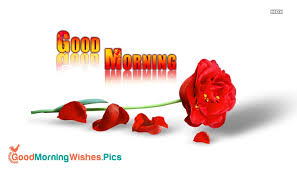 good morning red rose image