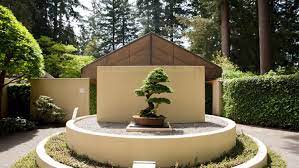 pacific bonsai museum seattle