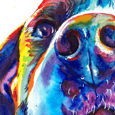 Dog Close Color Bright Wall Art Printed
