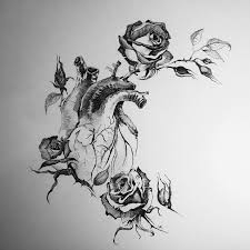Drawing beautiful rose and butterfly in pencils easy. Pencil Drawings Of Hearts And Roses Pencildrawing2019
