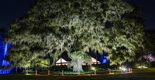 enchanted airlie at airlie gardens 2019