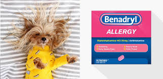 low dose benadryl for dogs sell big up