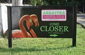 visit ardastra gardens and zoo