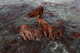 ten years later bp oil spill continues