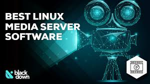 Other devices such as smartphones, tablets and even our console could also detect it and play the content of the dlna server via wifi. 10 Best Linux Media Server Software For Creating A Home Theater