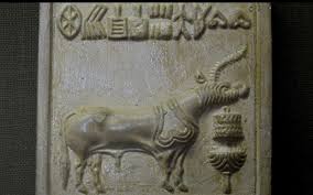 Image result for Indus Valley Civilization