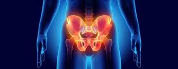 pelvic floor physical therapy pelvic