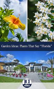 Garden Ideas Plants That Say Florida