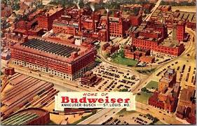 postcard st louis mo budweiser