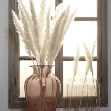 Wedding banquet table flower decoration in a restaurant. 7pcs Natural Dried Flowers Pampas Grass Wedding Festival Home Table Decor Ebay