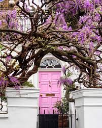 wisteria vine archway pink door on