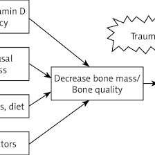 Pathophysiology Of Osteoporosis Related Fractures Download