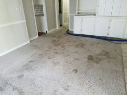 carpet cleaning services advanced
