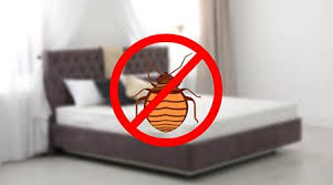 housekeepers can defend against bed bugs