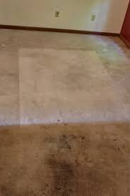 mr steamer carpet upholstery cleaning