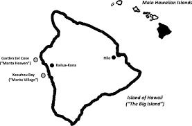manta ray viewing in hawaii