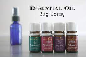 natural bug spray with essential oils