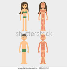 Vector Images Illustrations And Cliparts Stylized Male And