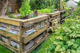 Image Raised Bed Made Of Wooden Pallets