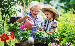 safety tips for senior gardeners