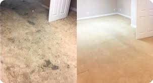 hypo allergenic carpet cleaning