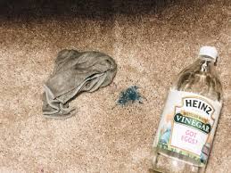 how to remove slime from carpet hey donna