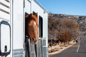 common horse trailer repairs the