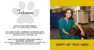 Veterinary assistants assist veterinarians and licensed veterinary technicians with every aspect of animal care, as well as manage pet owners' questions and concerns. Joseph T Koza