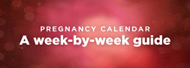 A Week By Week Pregnancy Calendar For Parents
