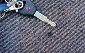 carpet repair for your clic car