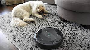best robot vacuums for pet hair in 2024