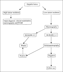 Flow Chart Shows Diagnostic Role Of Joint Use Of Mammography