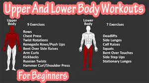 upper and lower full body strength