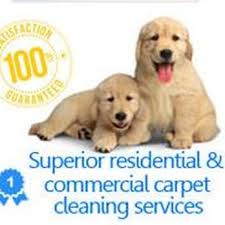 jimy s carpet cleaning lewisville 10